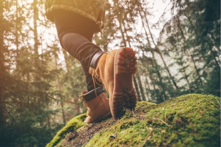 Tips til tur i skogen: Slik får du den beste opplevelsen - Aktiv Caravan